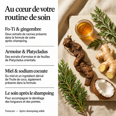 Après-shampoing coréen Yoracare